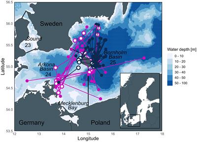 Into the wild: coupling otolith and archival tag records to test assumptions underpinning otolith chemistry applications in wild fish